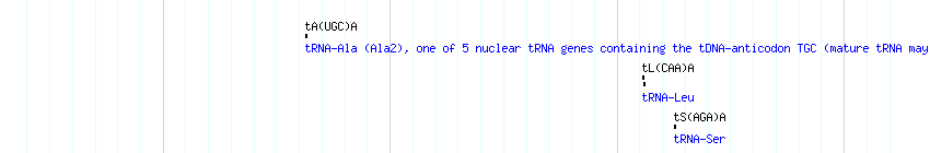 tRNAs detail