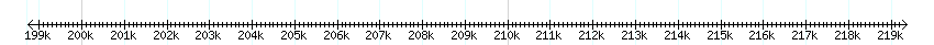 __scale__ detail