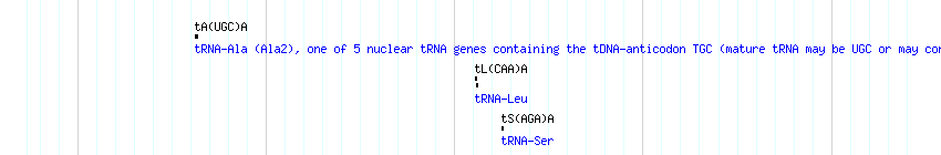 tRNAs detail