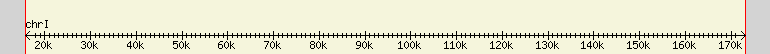 __scale__ region
