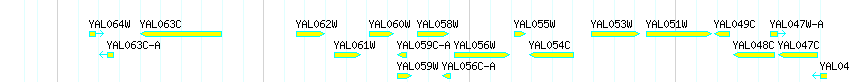 Genes detail