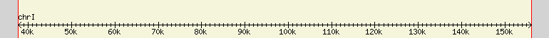 __scale__ region