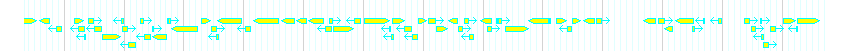 Genes detail