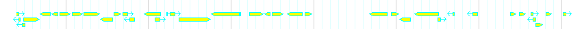 Genes detail
