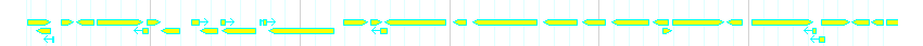 Genes detail