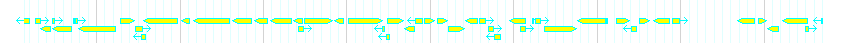 Genes detail