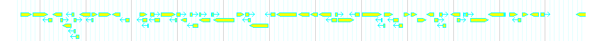 Genes detail
