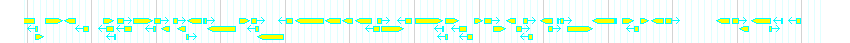 Genes detail