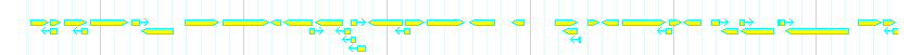Genes detail