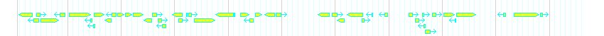 Genes detail
