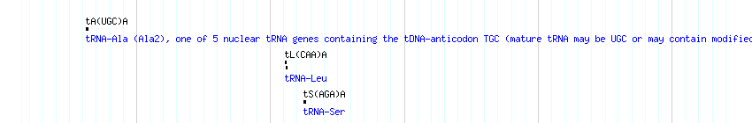 tRNAs detail