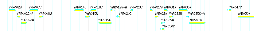 Genes detail