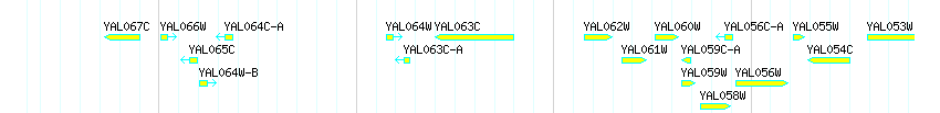 Genes detail