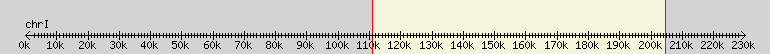 __scale__ overview