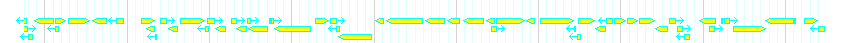 Genes detail