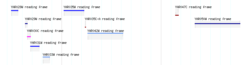 CDS detail