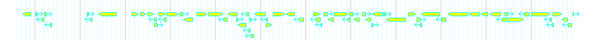 Genes detail