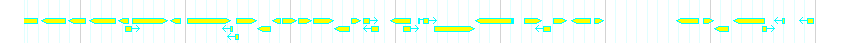 Genes detail