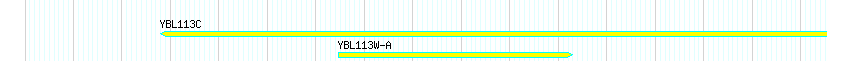 Genes detail