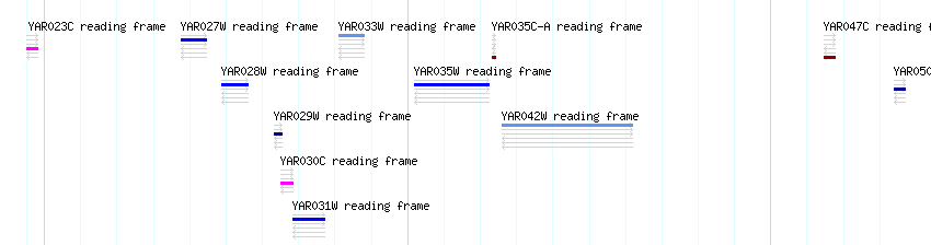 CDS detail