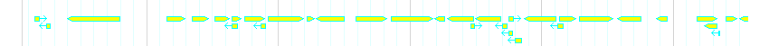 Genes detail