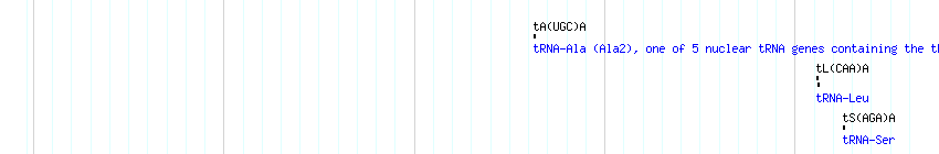 tRNAs detail
