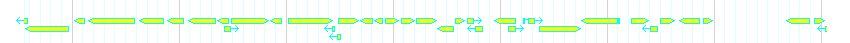 Genes detail