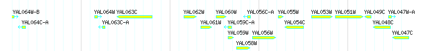 Genes detail