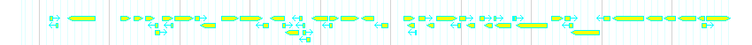 Genes detail
