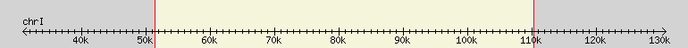 __scale__ region