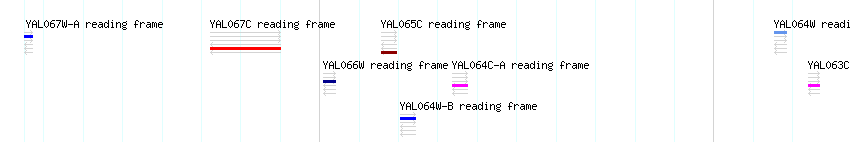 CDS detail