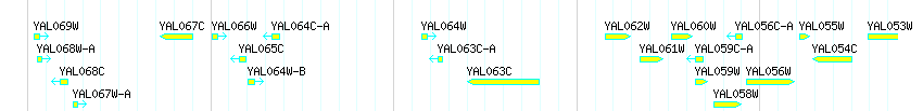 Genes detail