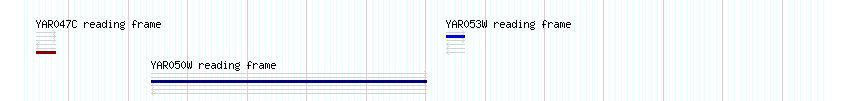 CDS detail