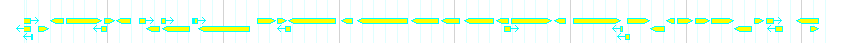 Genes detail