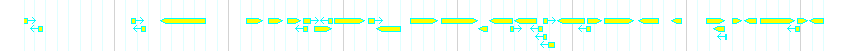 Genes detail
