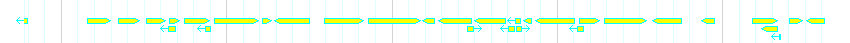 Genes detail