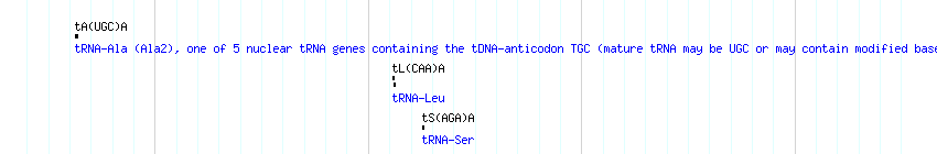 tRNAs detail