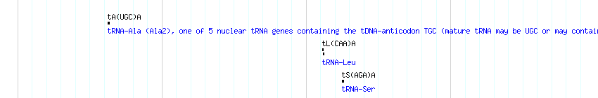 tRNAs detail