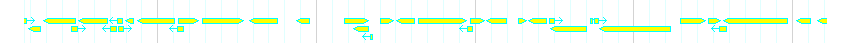 Genes detail