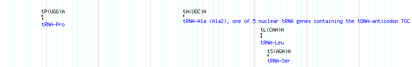 tRNAs detail