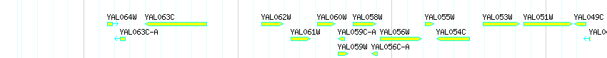 Genes detail