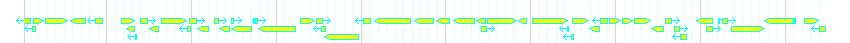 Genes detail