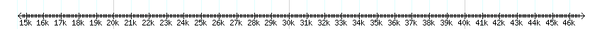__scale__ detail