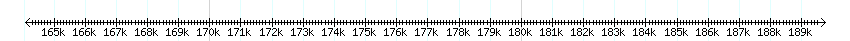 __scale__ detail