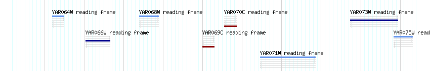 CDS detail