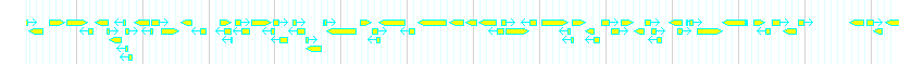 Genes detail