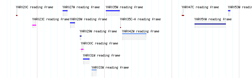 CDS detail
