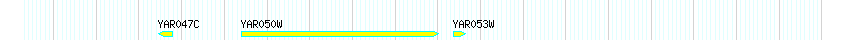Genes detail