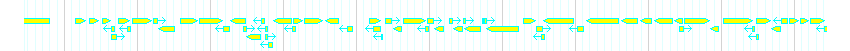 Genes detail