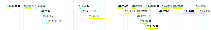 Genes detail